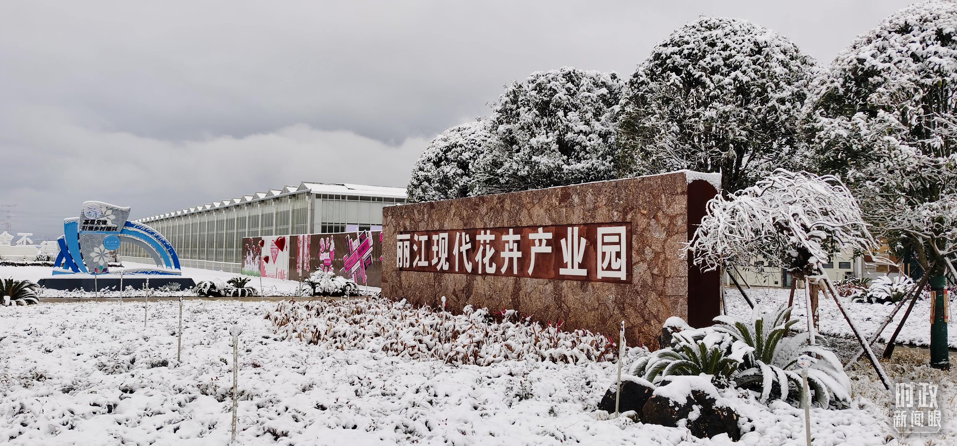 南丽江考察关注这座名城的“古与今”麻将胡了试玩平台时政新闻眼