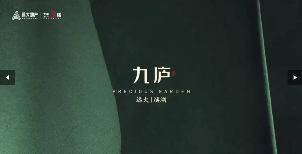 大九庐项目售楼处地址PG麻将胡了滨湖区远(图3)